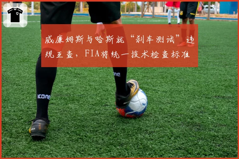 威廉姆斯与哈斯就“刹车测试”违规互查，FIA将统一技术检查标准