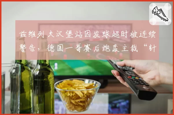 兹维列夫汉堡站因发球超时被连续警告,德国一哥赛后炮轰主裁“针对本土球员”